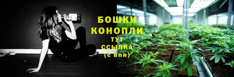 ссылка на мегу зеркало  Бакал  Шишки марихуана Ganja  сколько стоит 